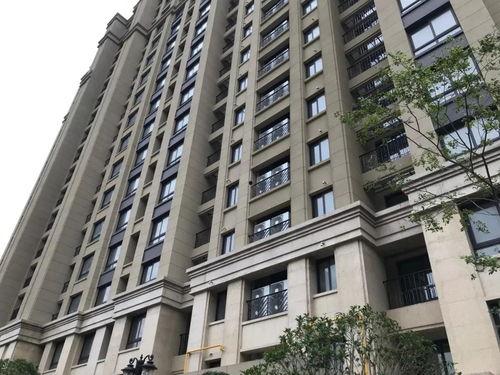 都市花园爆料最新消息,揭秘神秘事件背后的真相