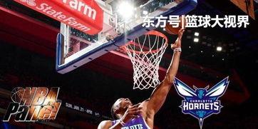 黄蜂爆料乔丹视频大全最新,乔丹视频大全揭秘篮球传奇背后的故事