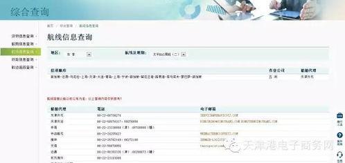航线最新爆料信息查询网,揭秘即将开通的梦幻航线详情