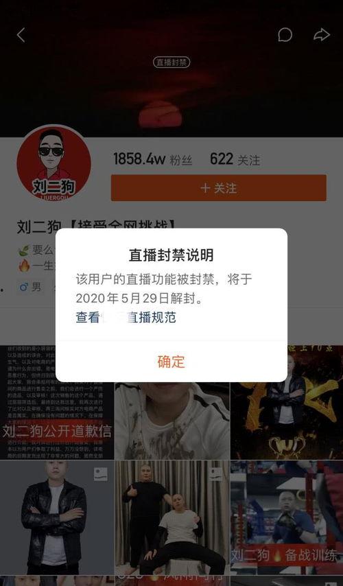 方丈助农最新爆料,揭秘助力乡村振兴的幕后故事